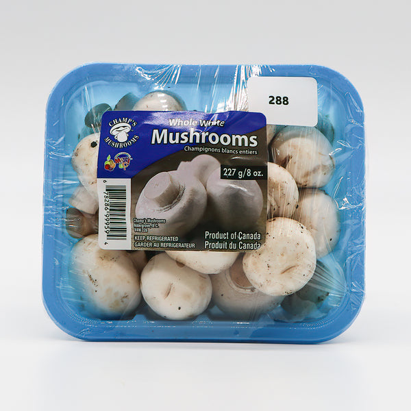 Image of Mushrooms - Mushrooms