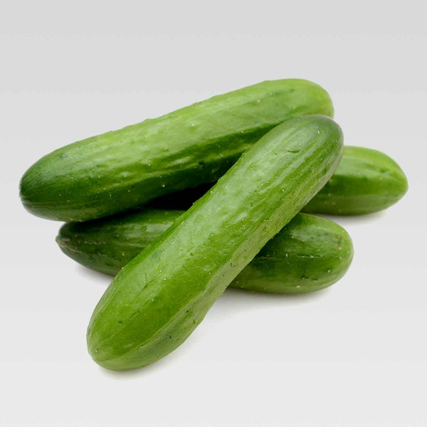 Image of Cucumber - Mini