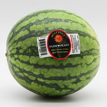 Watermelon - Mini