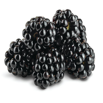 Berries - Blackberry