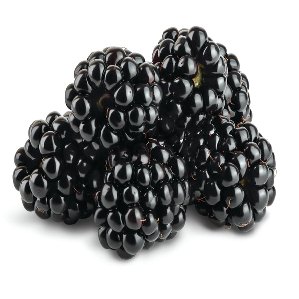 Image of Berries - Blackberry
