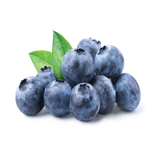 Image of Berries - Blueberry Large