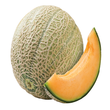 Melon - Cantaloupe