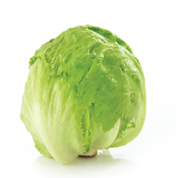 Lettuce - Iceberg