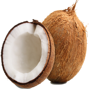 Coconut