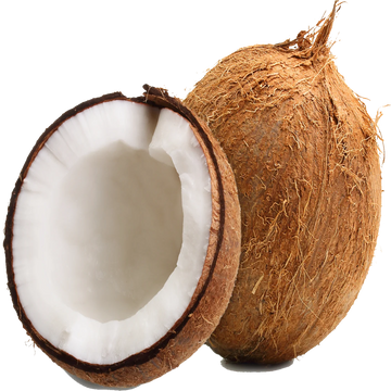 Coconut