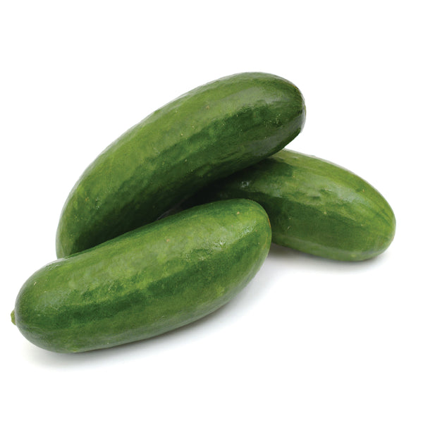 Image of Cucumber - Cucumber-Unit