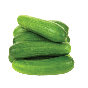 Cucumber - Mini