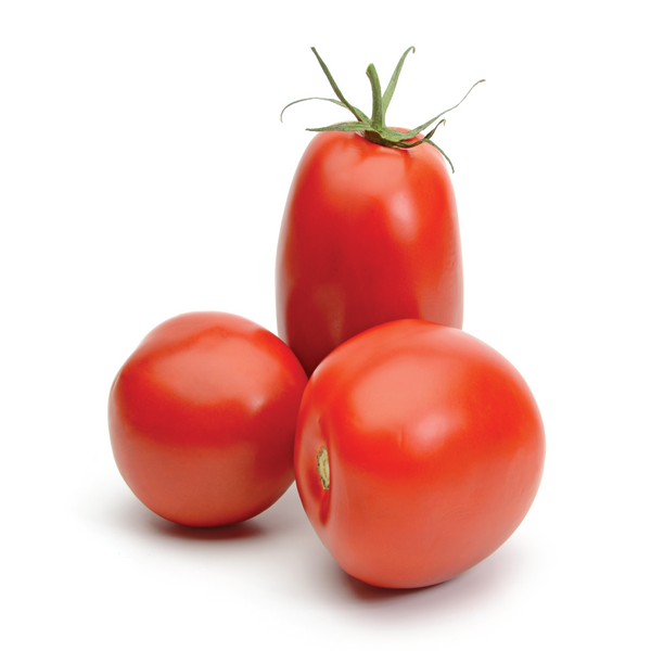 Image of Tomato - Roma
