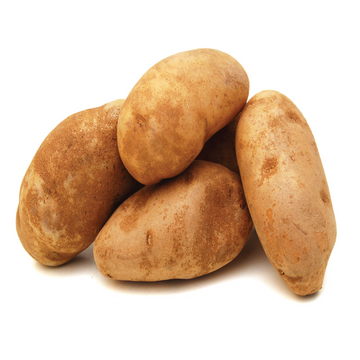 Potato  - Russet