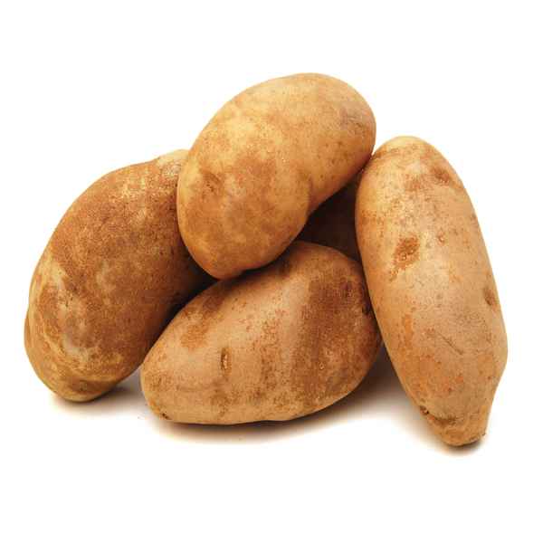 Image of Potato  - Russet