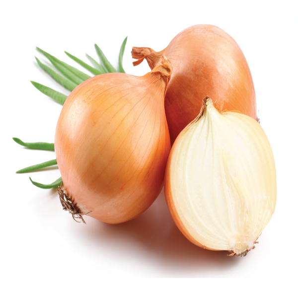 Image of Onions - Brown