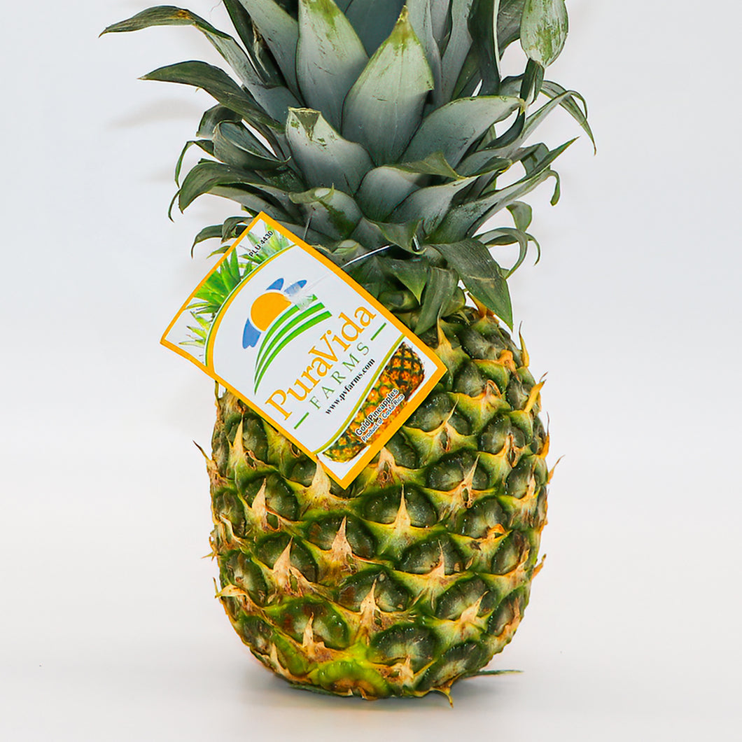 Pineapple - Pineapple