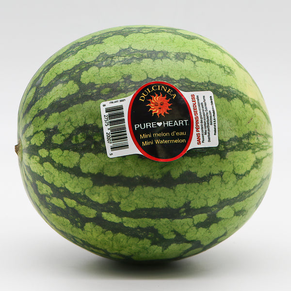 Image of Watermelon - Mini