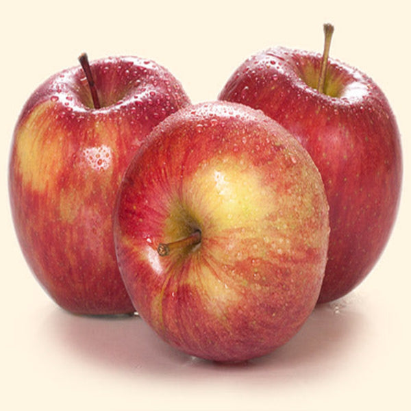 Image of Apples - Kiku